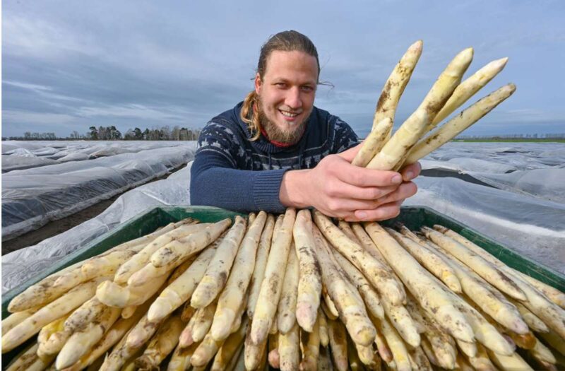 Experience Spargel Zeit: Germany's Beloved Asparagus Tradition
